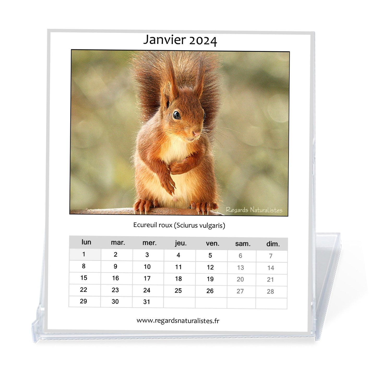 Calendrier photo 2024 les animaux du jardin chevalet bureau 12 mois