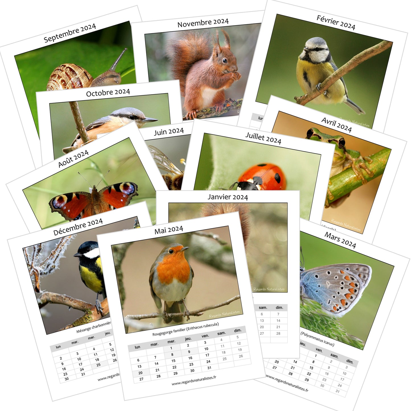 Calendrier photo 2024 les animaux du jardin chevalet bureau 12 mois