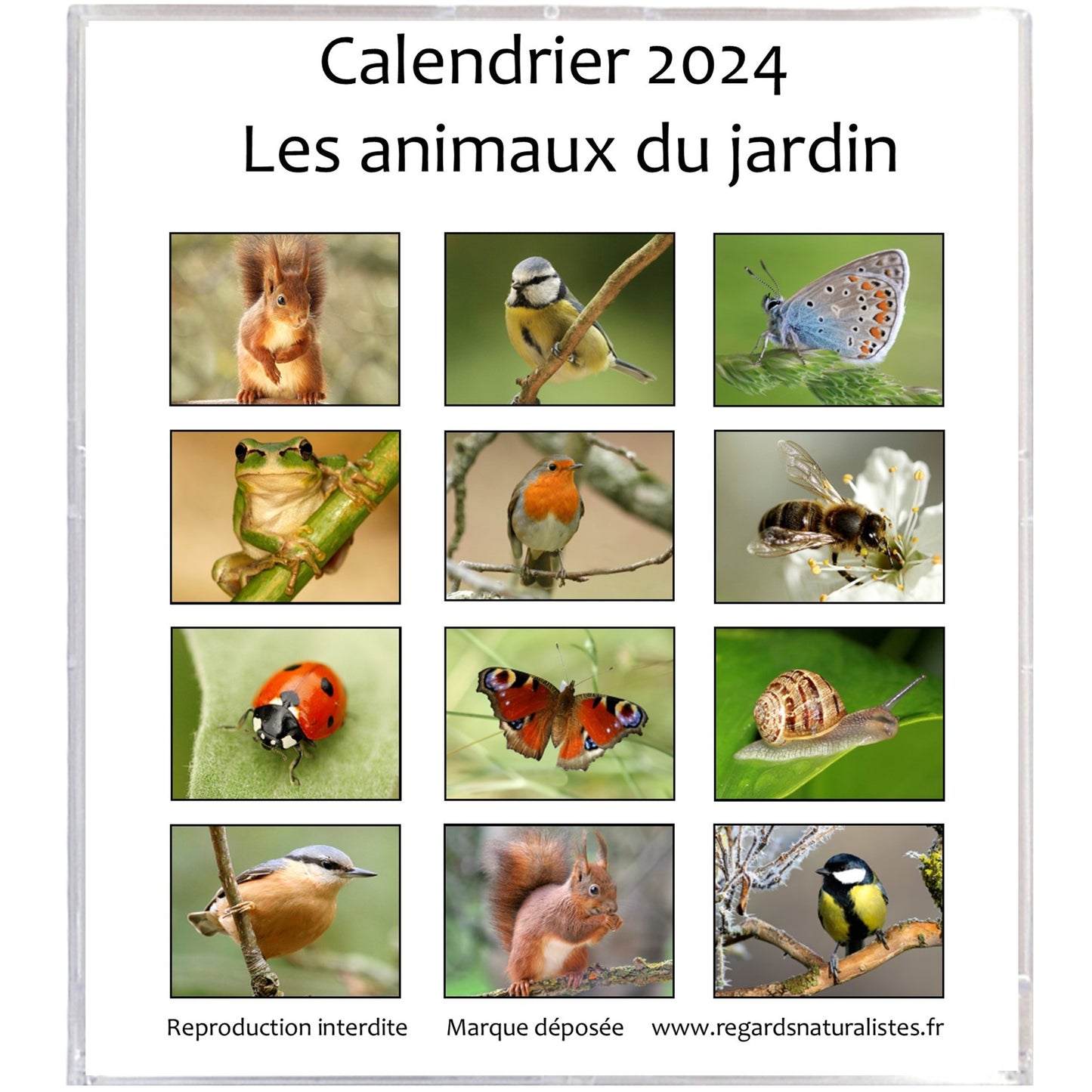 Calendrier photo 2024 les animaux du jardin chevalet bureau 12 mois