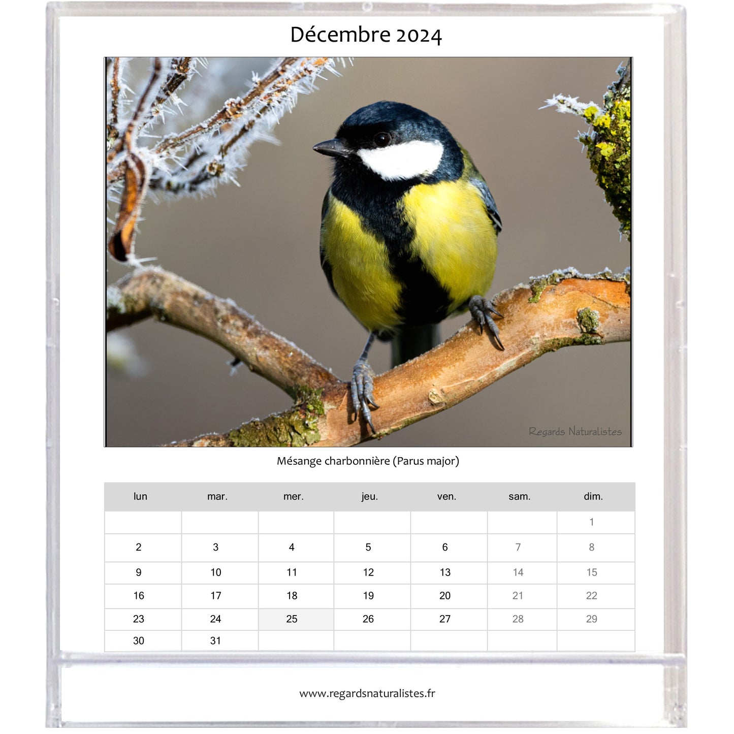 Calendrier photo 2024 les animaux du jardin chevalet bureau 12 mois