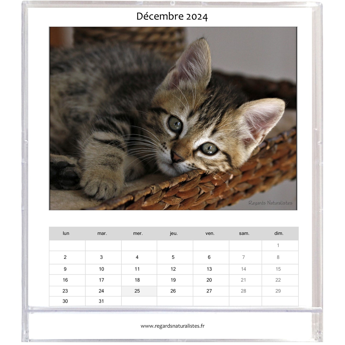 Calendrier photo 2024 les chatons chevalet bureau 12 mois