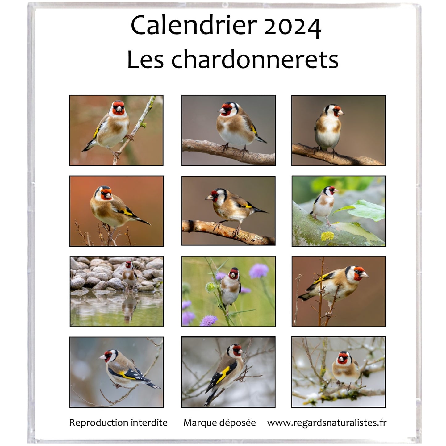 Calendrier photo 2024 les chardonnerets élégants chevalet bureau 12 mois