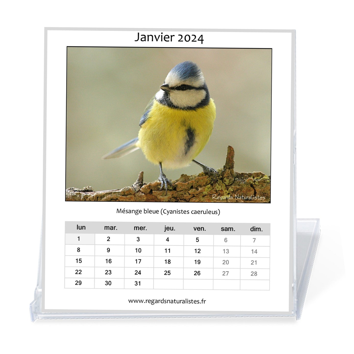 Calendrier photo 2024 les oiseaux du jardin chevalet bureau 12 mois