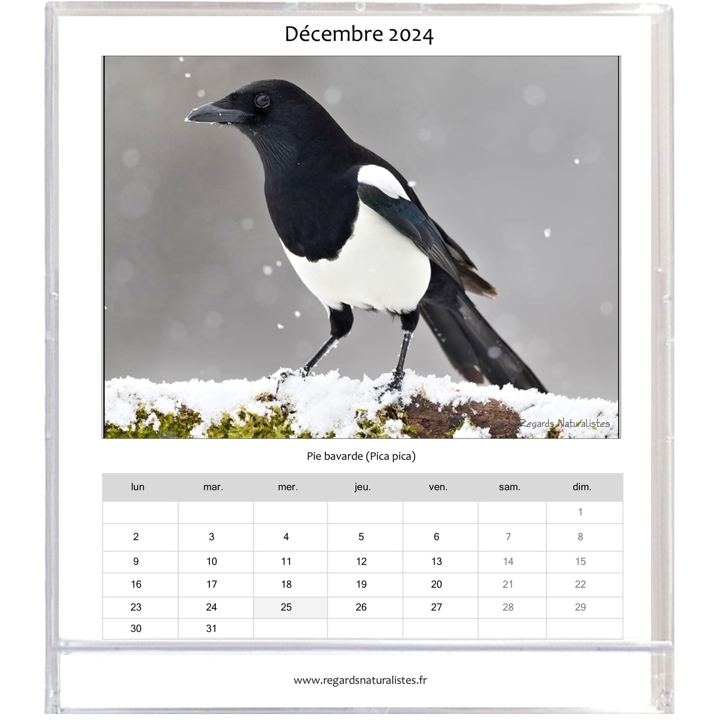 Calendrier photo 2024 les oiseaux du jardin chevalet bureau 12 mois