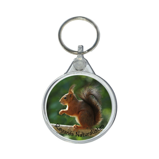 Porte clé photo écureuil roux 4
