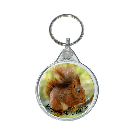 Porte clé photo écureuil roux 6