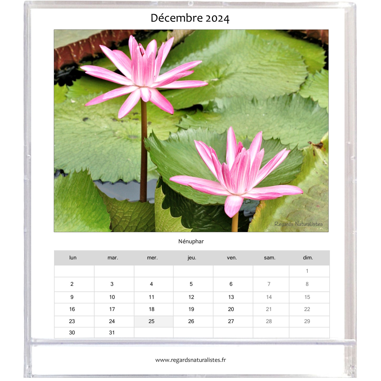 Calendrier photo 2024 les lotus et nénuphars chevalet bureau 12 mois