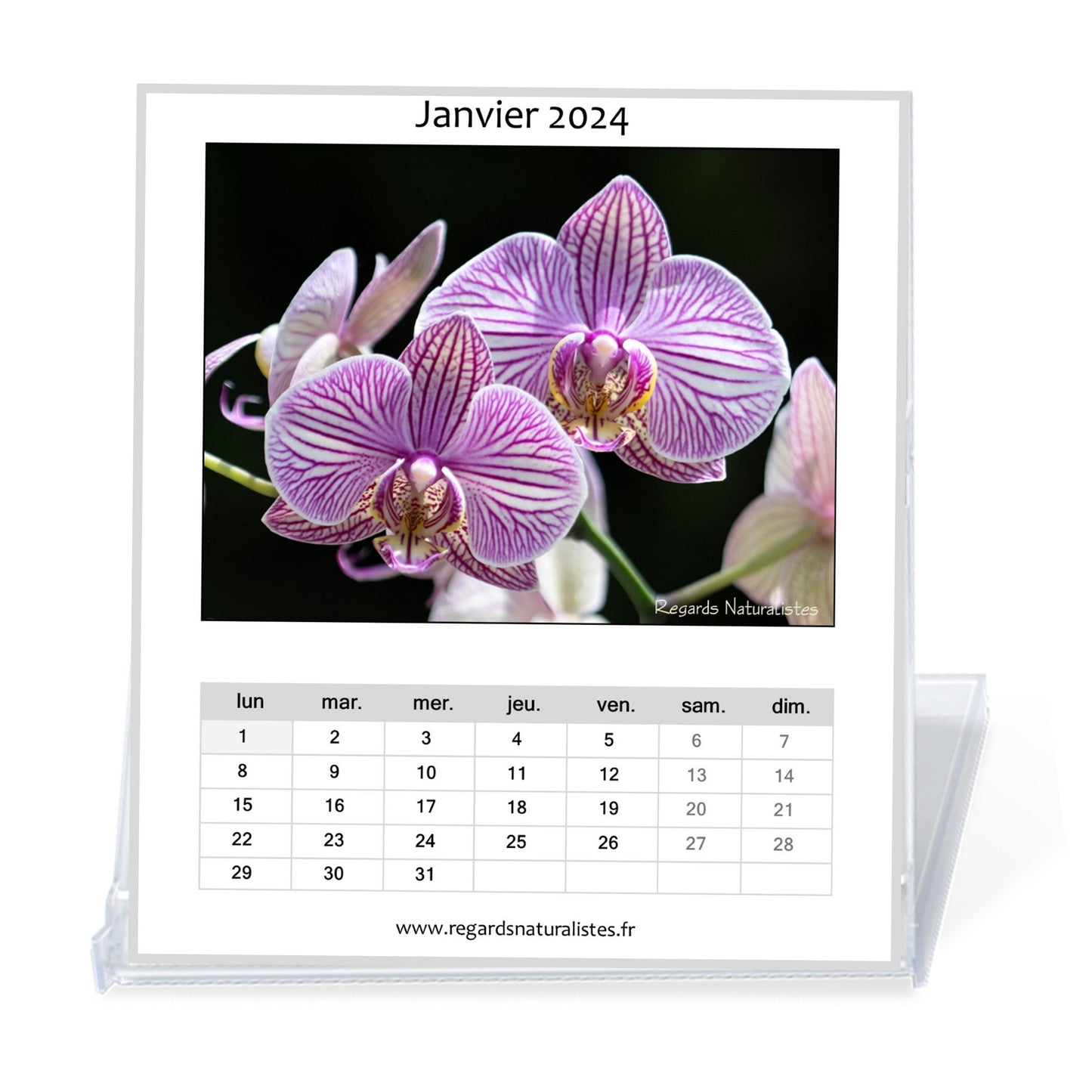 Calendrier photo 2024 les orchidées chevalet bureau 12 mois