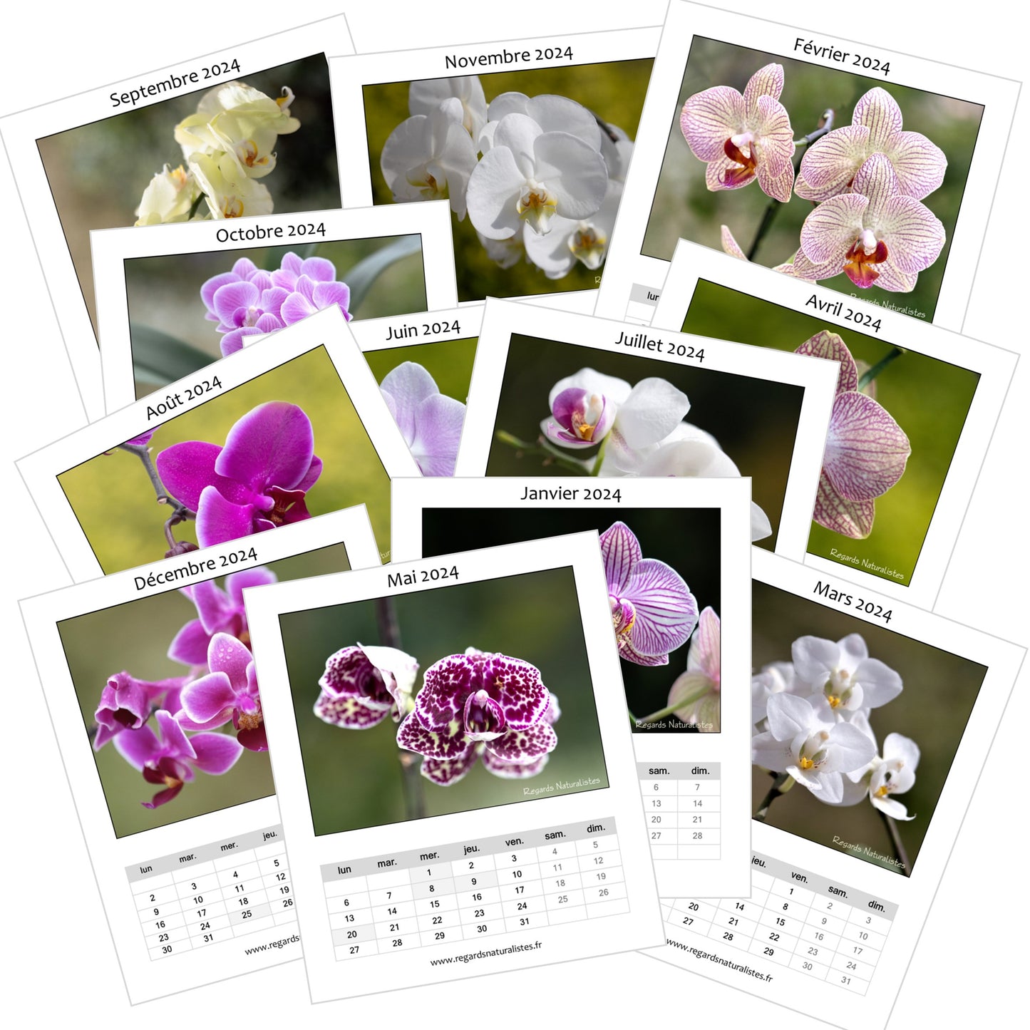 Calendrier photo 2024 les orchidées chevalet bureau 12 mois