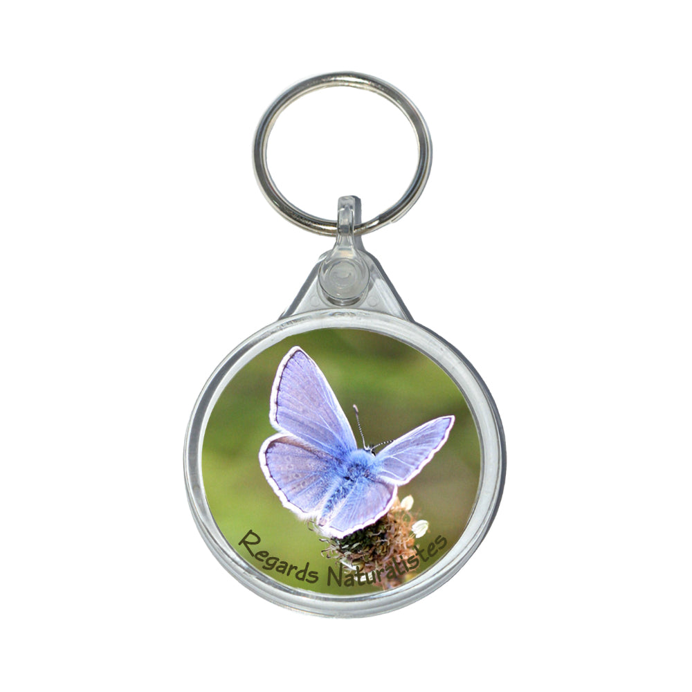 Porte clé photo papillon Azuré commun