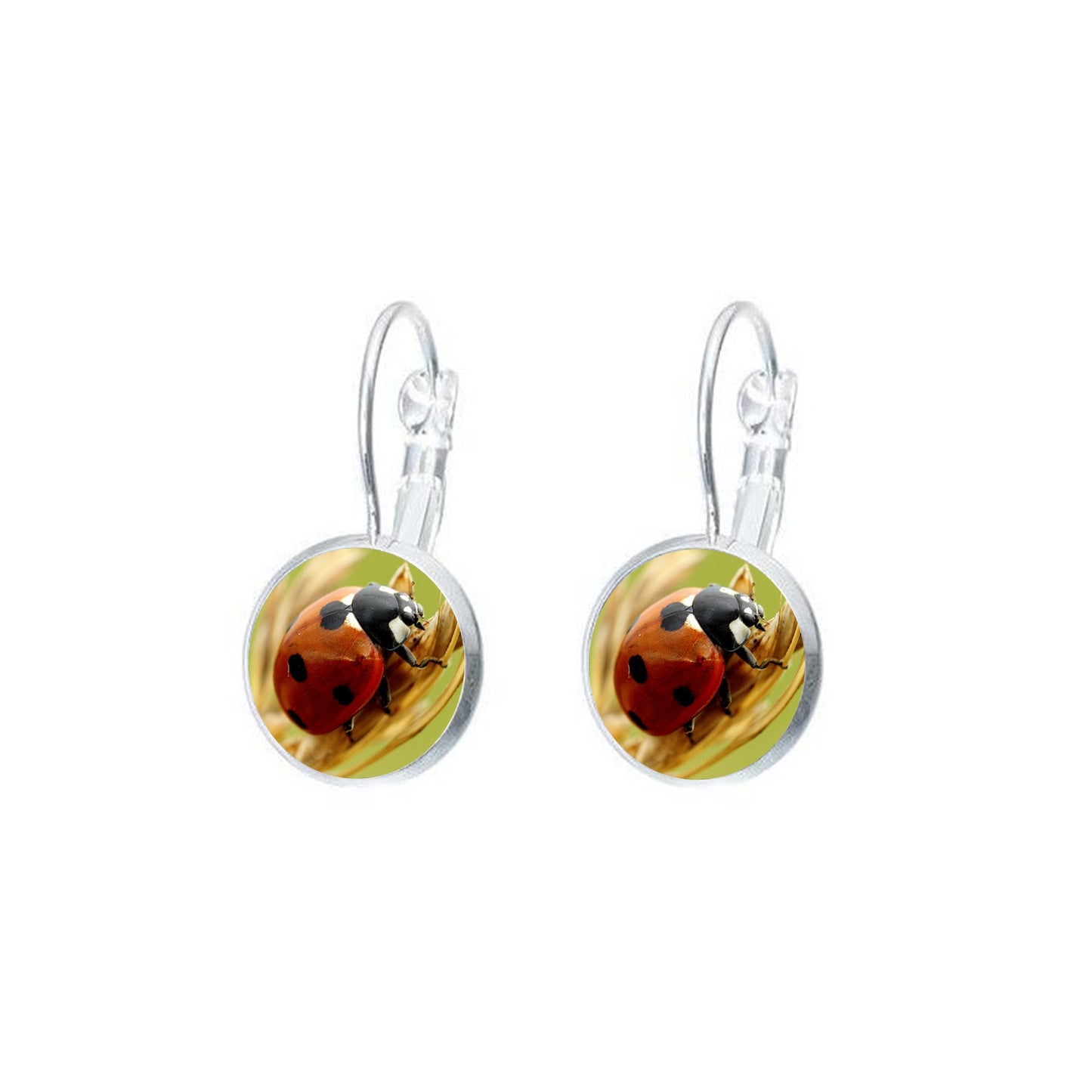 Boucles d'oreilles dormeuses argentées cabochon 12 mm photo insecte coccinelle