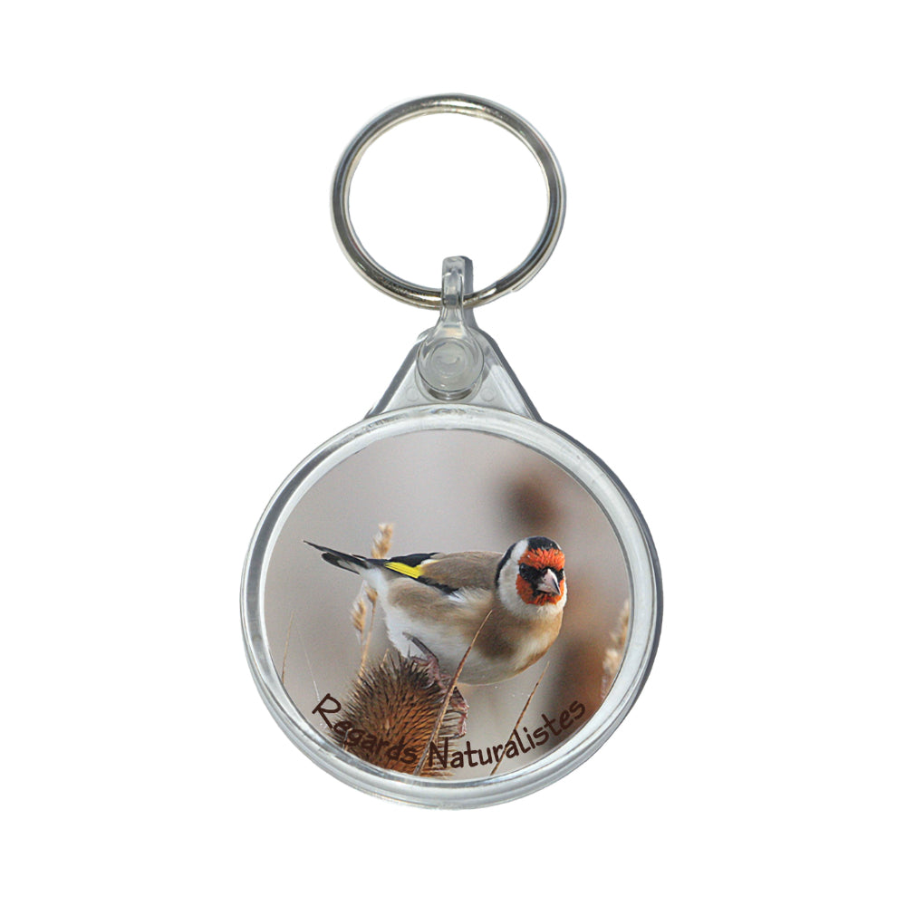 Porte clé photo oiseau chardonneret élégant