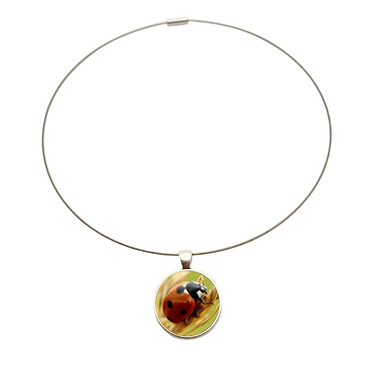 Collier argenté pendentif cabochon photo insecte coccinelle