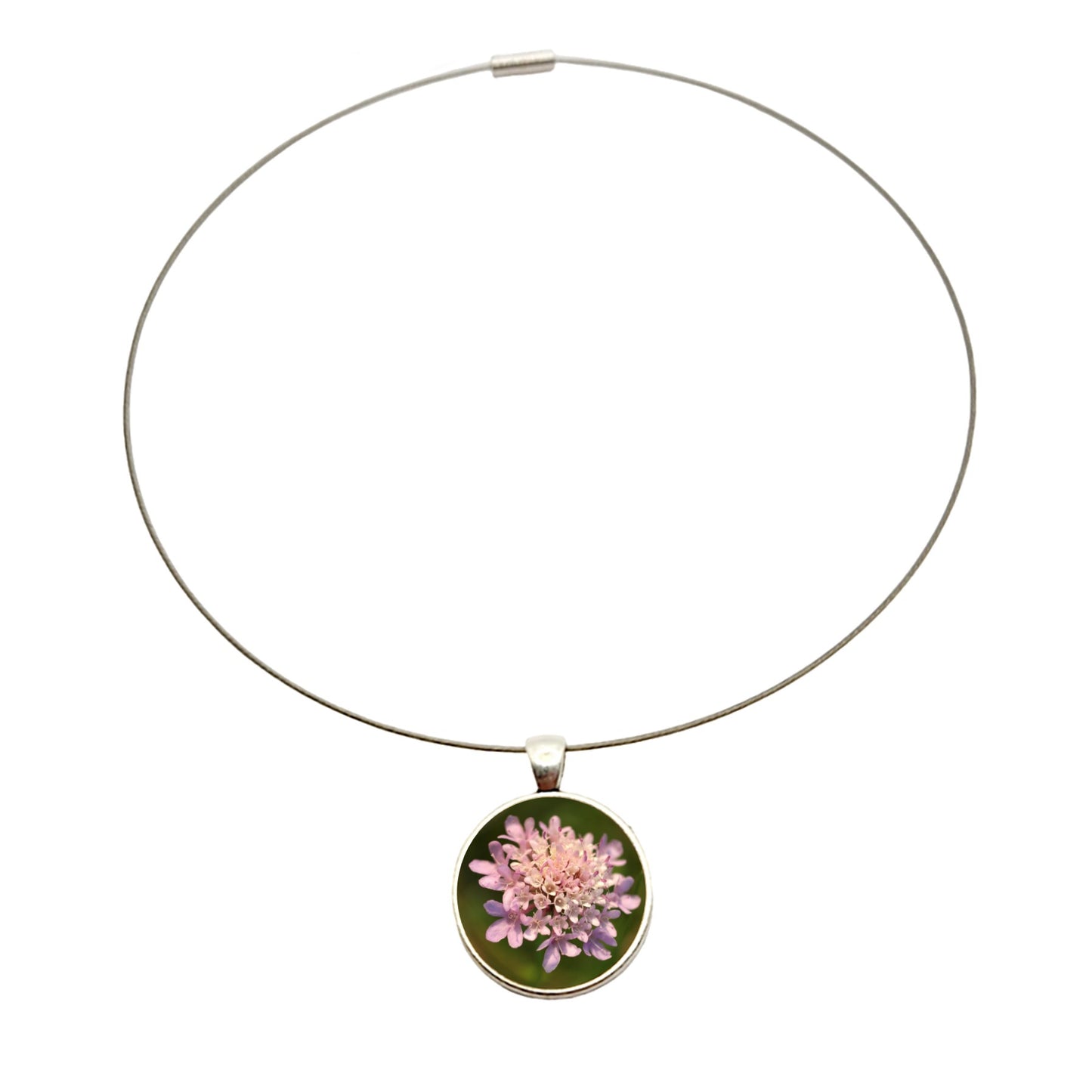 Collier argenté pendentif cabochon photo fleur scabieuse des champs