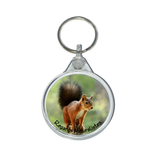 Porte clé photo écureuil roux