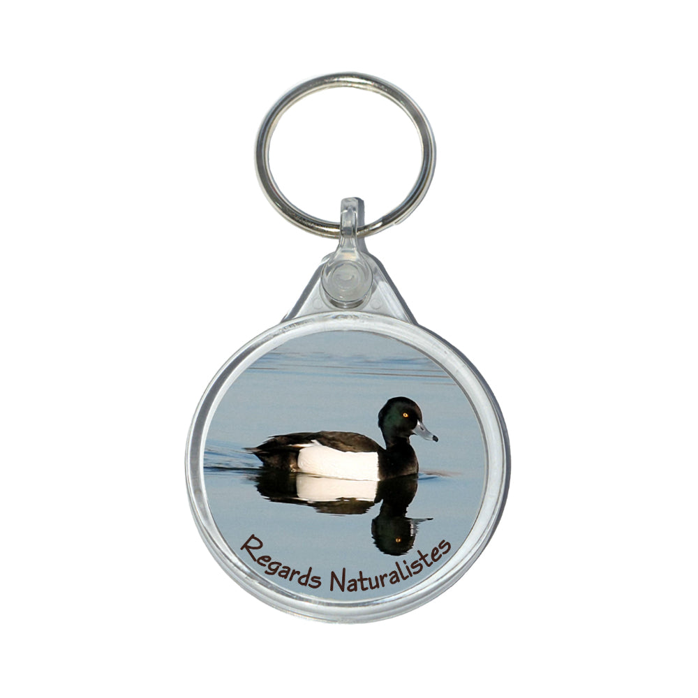 Porte clé photo canard fulligule morillon