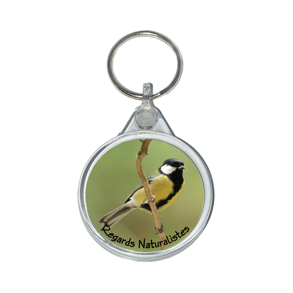 Porte clé photo oiseau mésange charbonnière 2