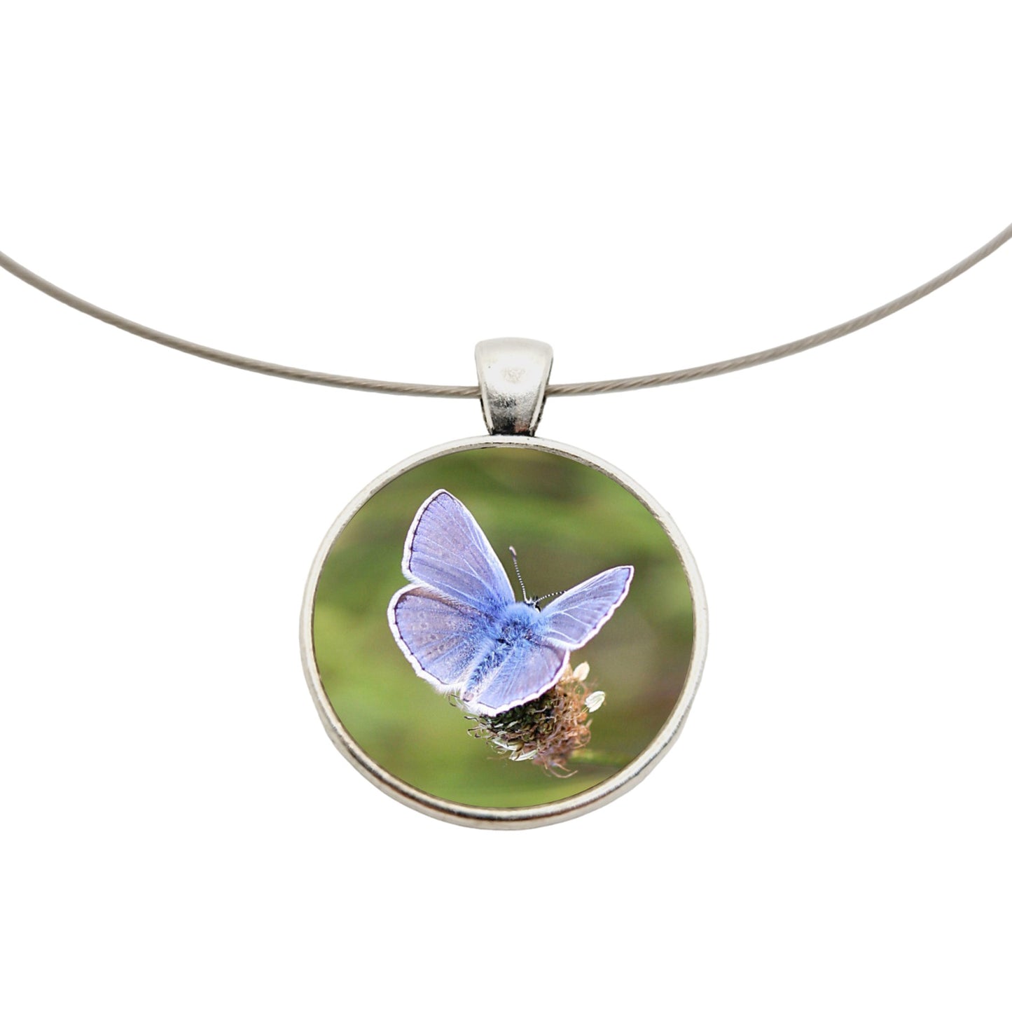 Collier argenté pendentif cabochon photo papillon Azuré commun