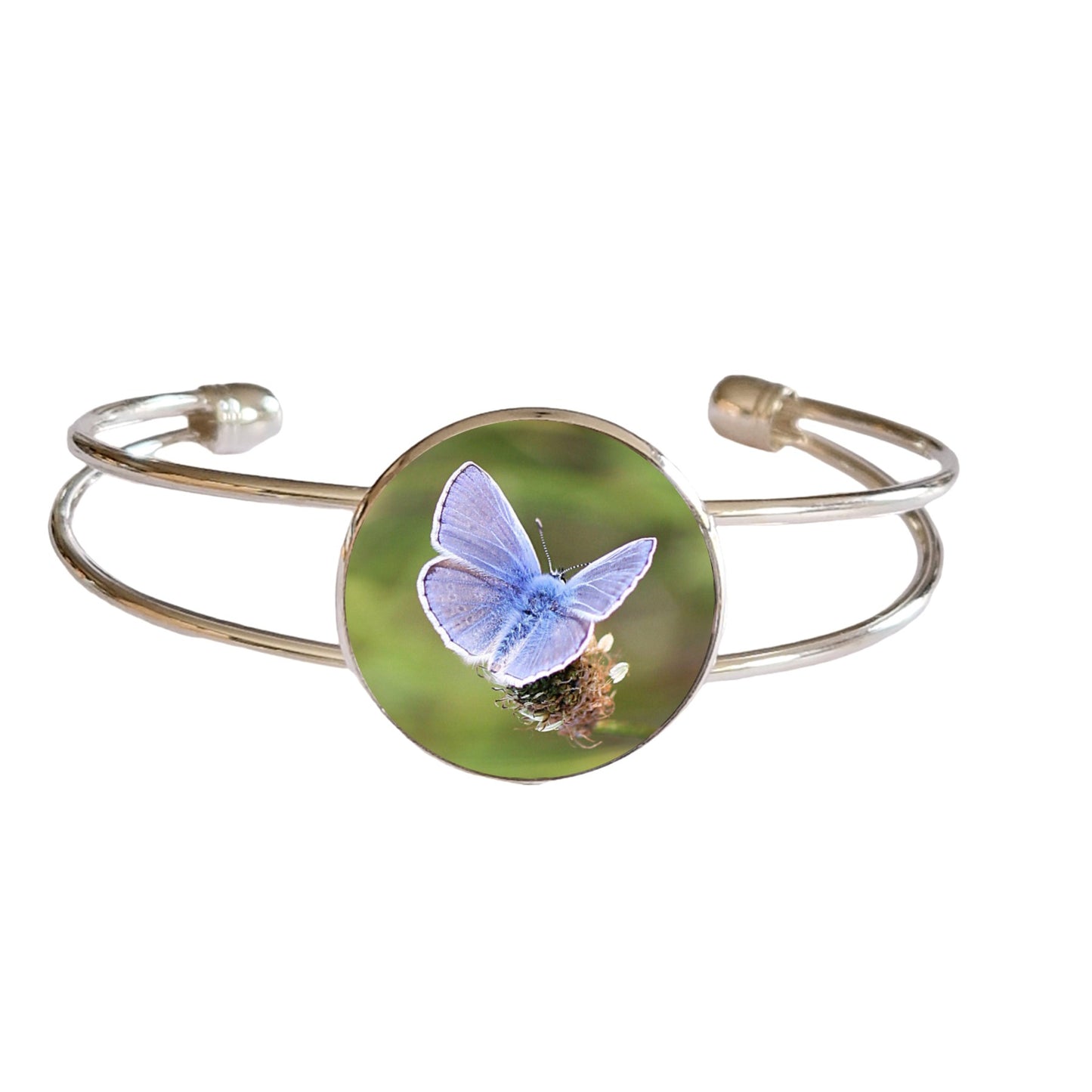 Bracelet argenté cabochon photo papillon Azuré commun