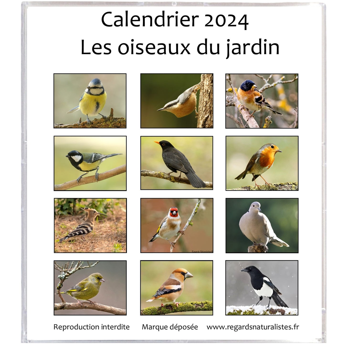 Calendrier photo 2024 les oiseaux du jardin chevalet bureau 12 mois