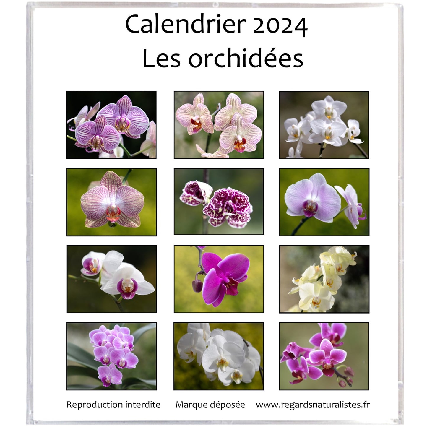 Calendrier photo 2024 les orchidées chevalet bureau 12 mois