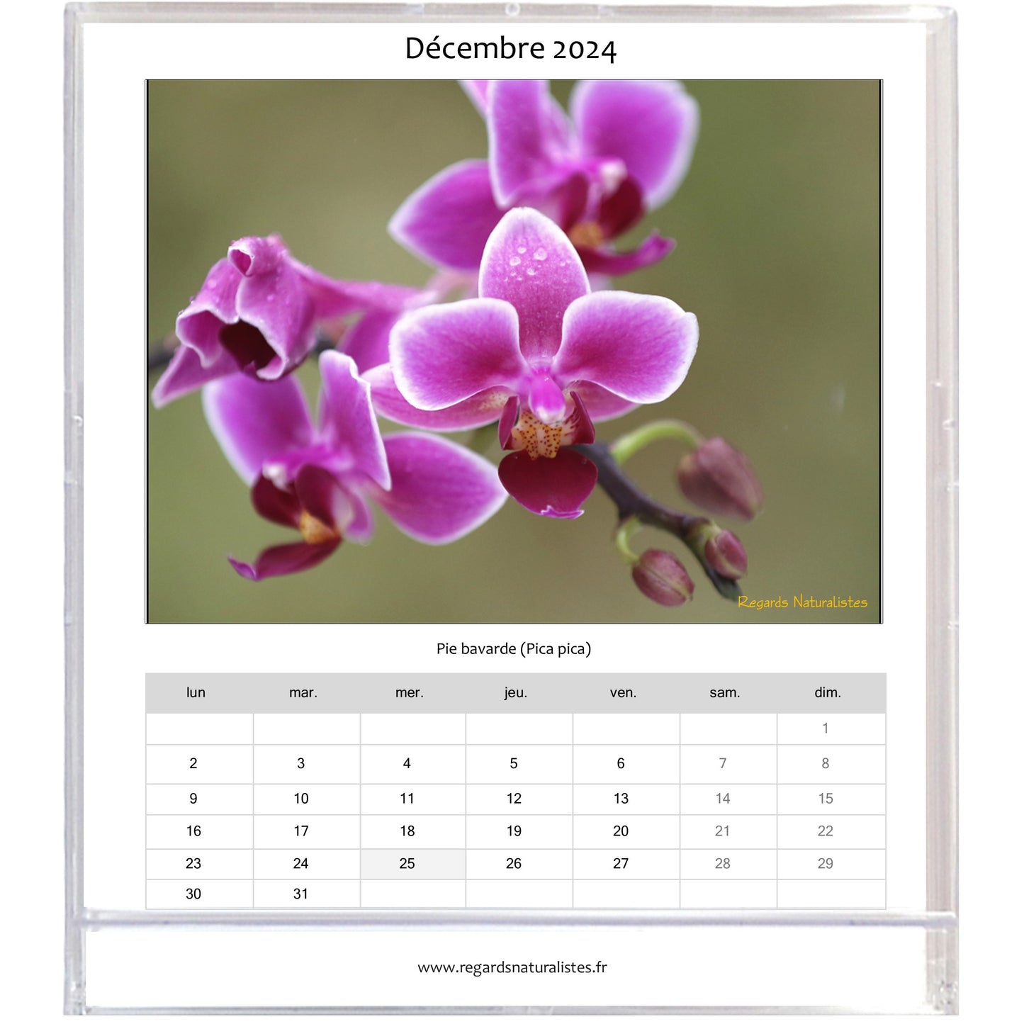 Calendrier photo 2024 les orchidées chevalet bureau 12 mois
