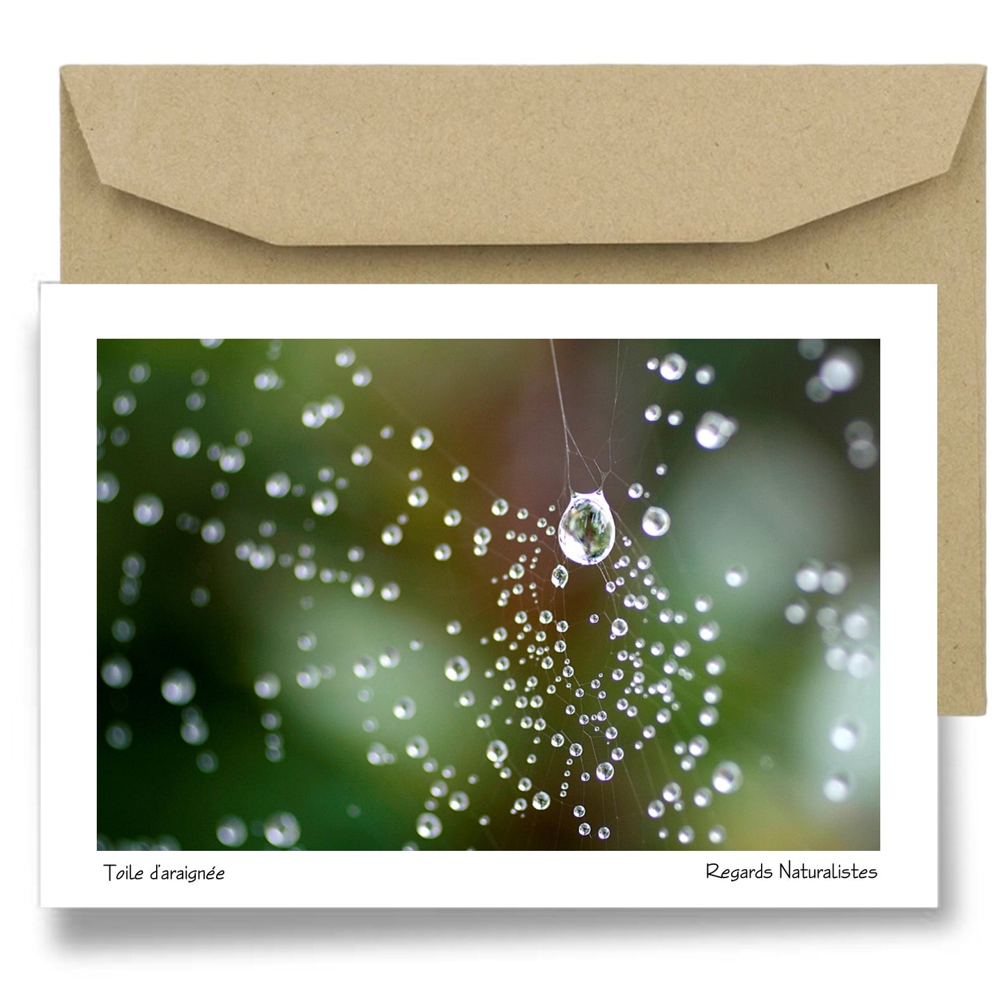 Carte postale papier aquarelle avec enveloppe photo toile d'araignée