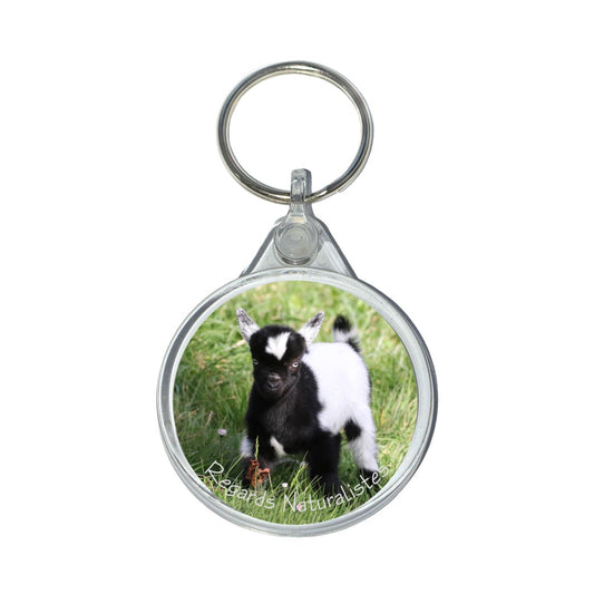 Porte clé photo bébé chèvre miniature 3