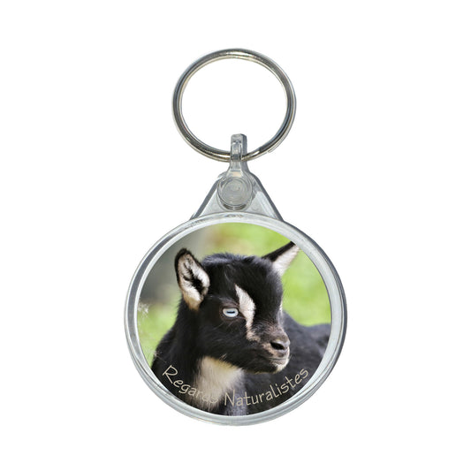 Porte clé photo bébé chèvre miniature 4