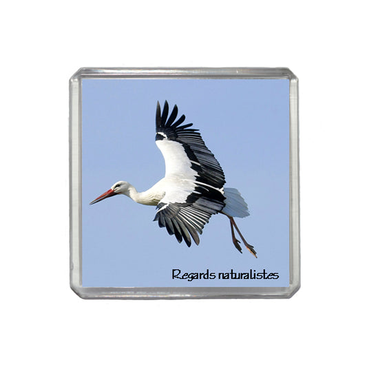 Magnet photo oiseau cigogne blanche