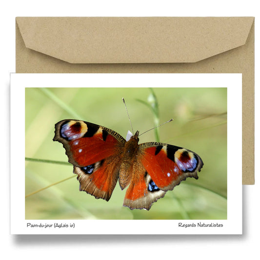 Carte postale papier aquarelle avec enveloppe photo papillon Paon-du-jour